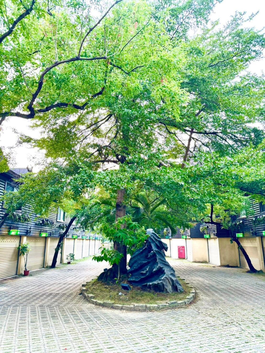 Ivy Motel Chiayi Exterior foto